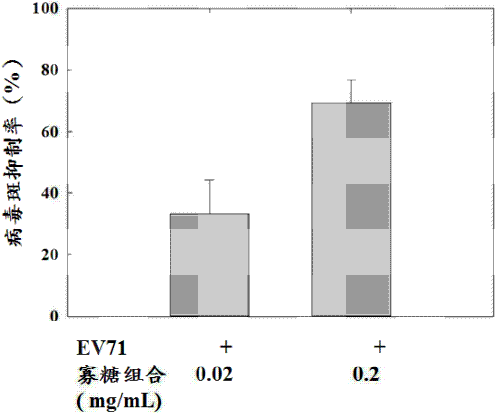 石花菜寡糖與青海菜寡糖的組合在抗腸病毒的應(yīng)用的制造方法與工藝