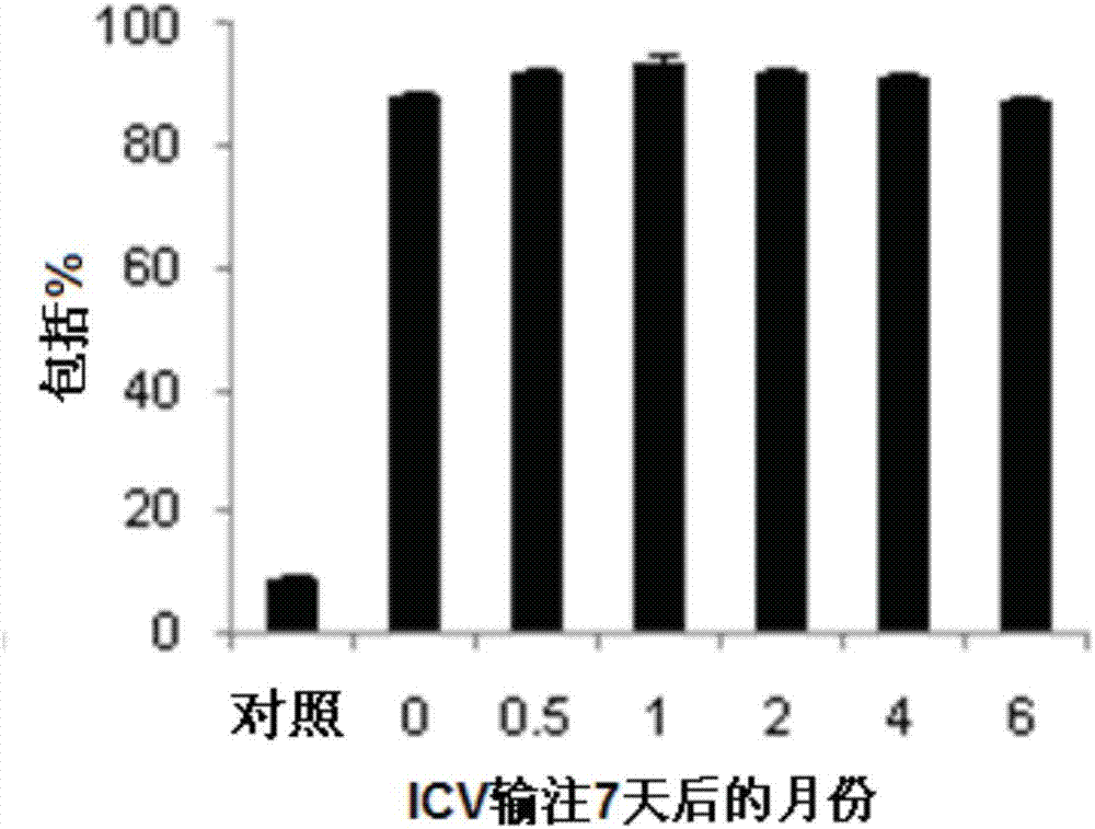 用于在對(duì)象中調(diào)節(jié)SMN2剪接的組合物和方法與流程