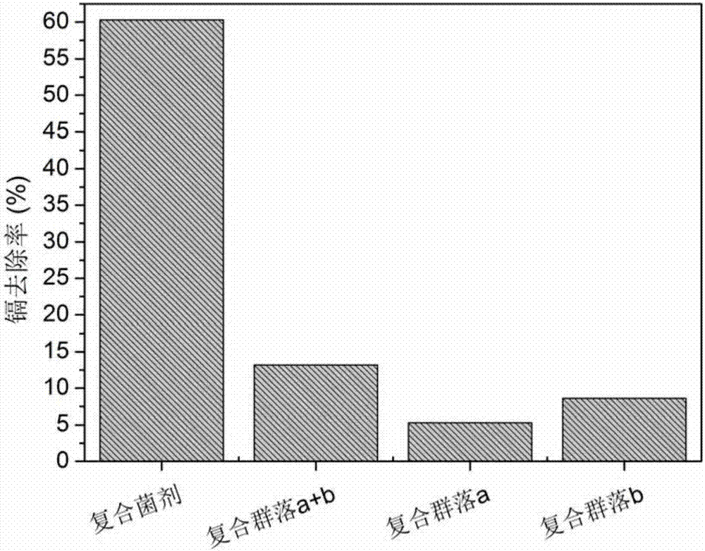 一種能適應高固液比體系的鎘污染土壤治理復合菌劑的應用的制造方法與工藝