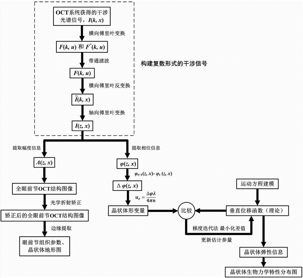 晶状体生物力学和光学特性无创在体成像系统及测量方法与流程