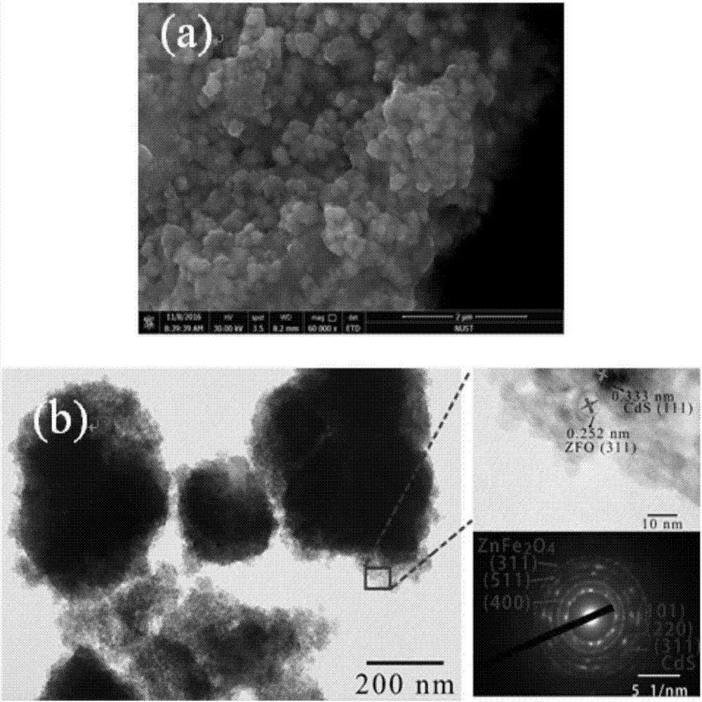 一種CdS/ZnFe2O4復(fù)合光催化劑及其制備方法與流程