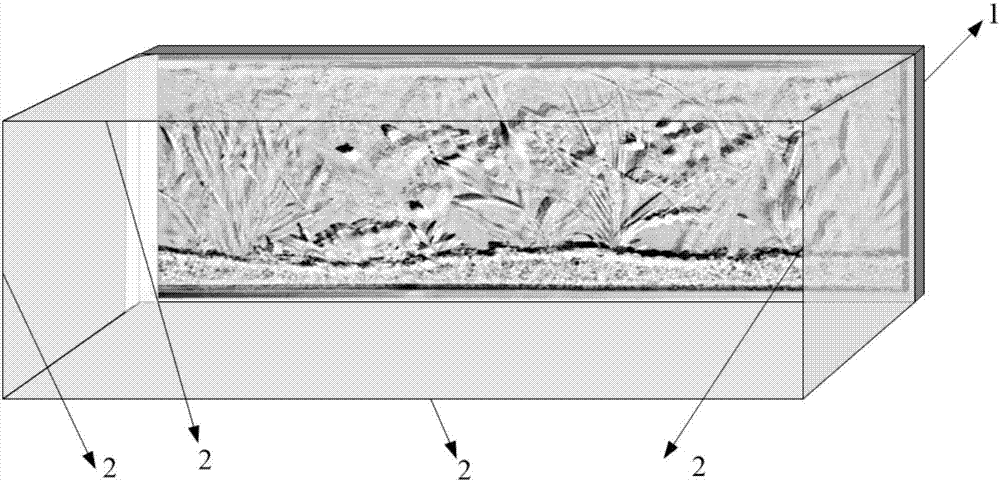 一種可視面可以變幻出各種場景的AR魚缸的制造方法與工藝