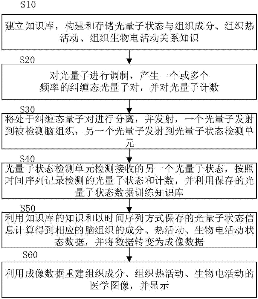 一種腦功能成像和腦組織成分檢測的方法及裝置與流程