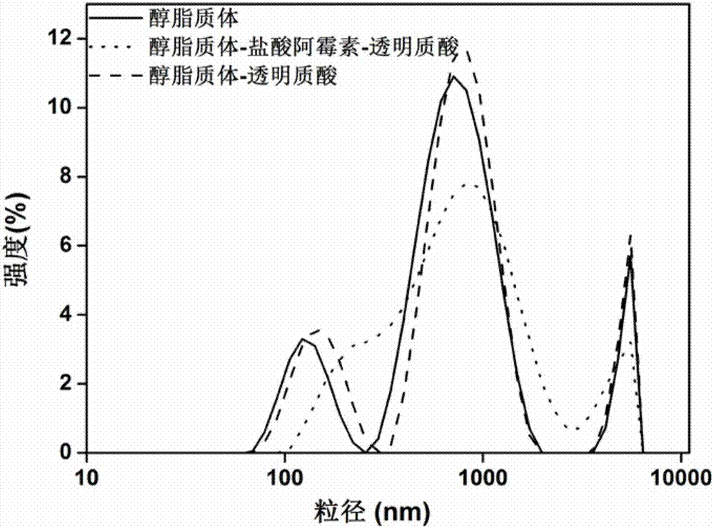 一種含有透明質(zhì)酸的醇脂質(zhì)體的透皮給藥系統(tǒng)及其制備方法與應(yīng)用與流程