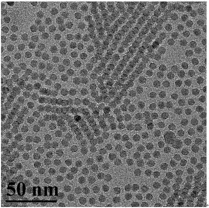 一种制备8纳米以下稀土掺杂β‑NaYF4上转换纳米晶的方法与流程