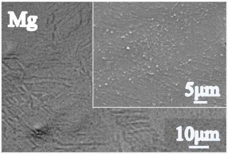 在純鎂表面構(gòu)建有機(jī)?無機(jī)雜化功能復(fù)合涂層的方法與流程