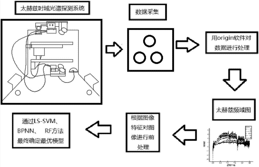 一種區(qū)分轉(zhuǎn)基因玉米和非轉(zhuǎn)基因玉米的檢測(cè)方法與流程