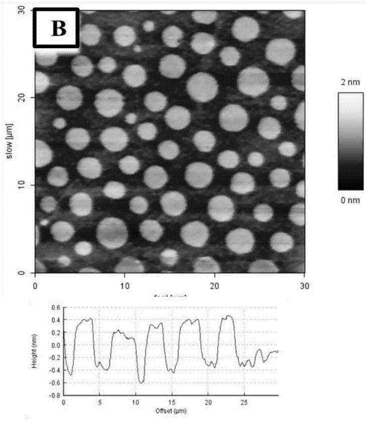 一种双亲性单层分子膜的荧光检测方法与流程