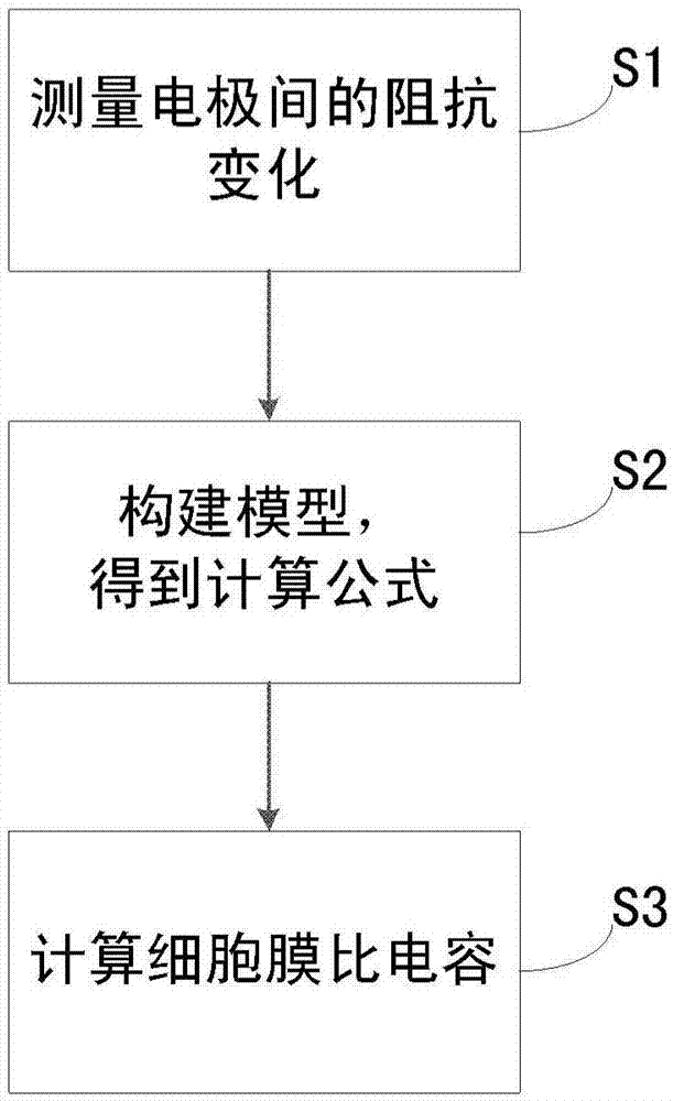 一種細胞膜比電容的檢測系統(tǒng)及方法與流程