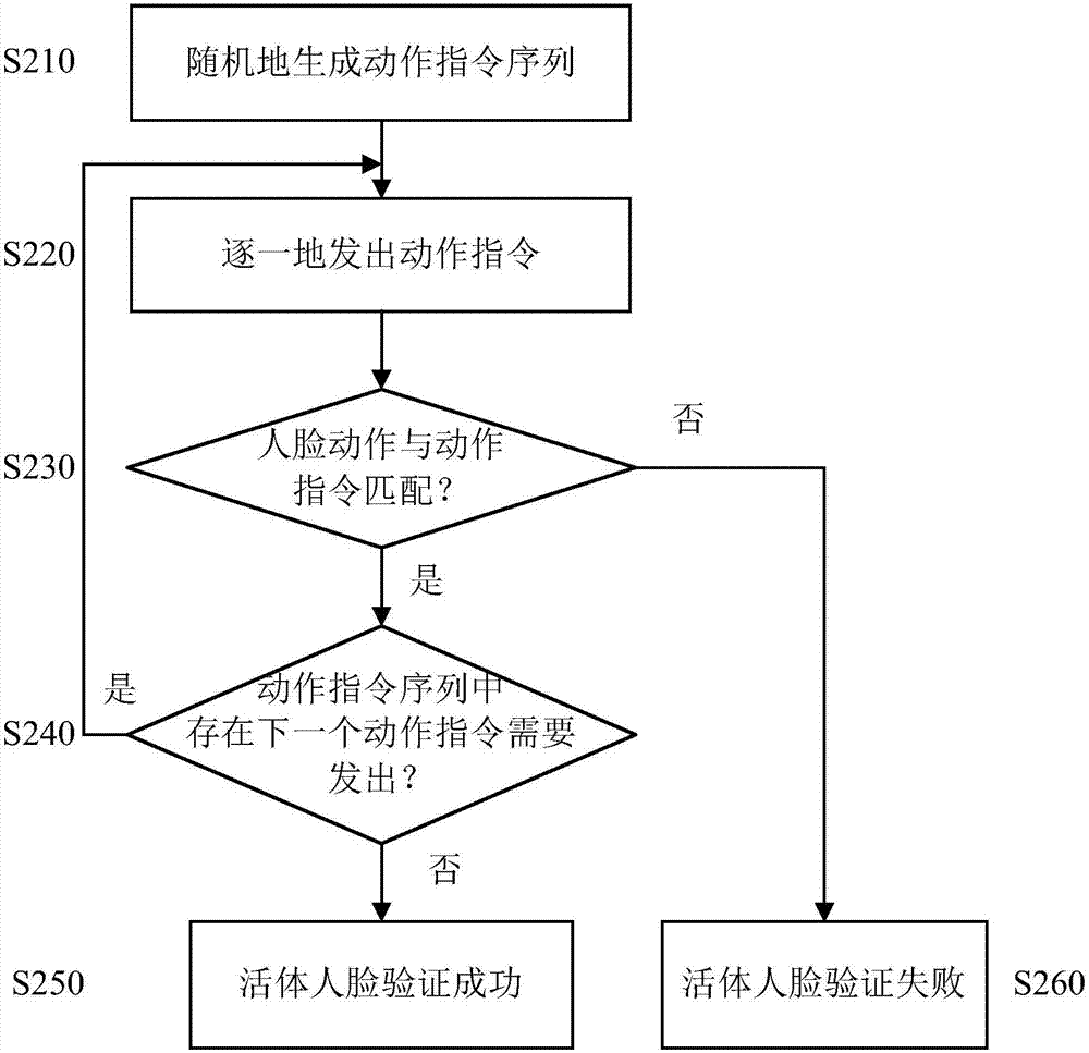 活体人脸验证方法及系统、活体人脸验证装置与流程