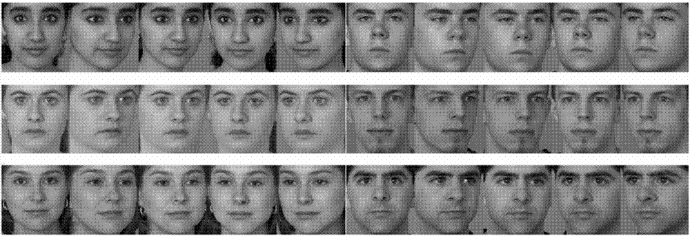线性判别深度信念网络的多姿态人脸识别方法与流程