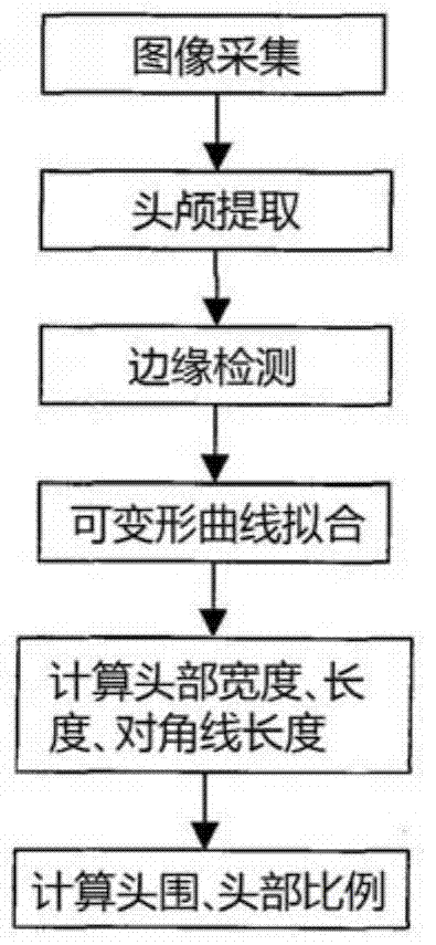 基于可变形模型的婴儿头颅三维测量方法与流程