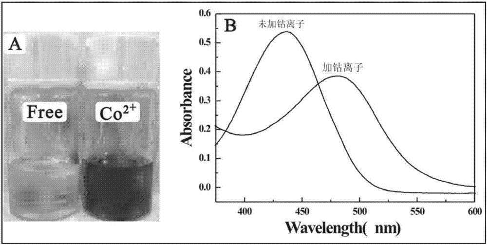 一種6?氯?3?[(2?羥基?4?二乙胺基苯亞甲基)氨基]香豆素的制備及其應用的制造方法與工藝