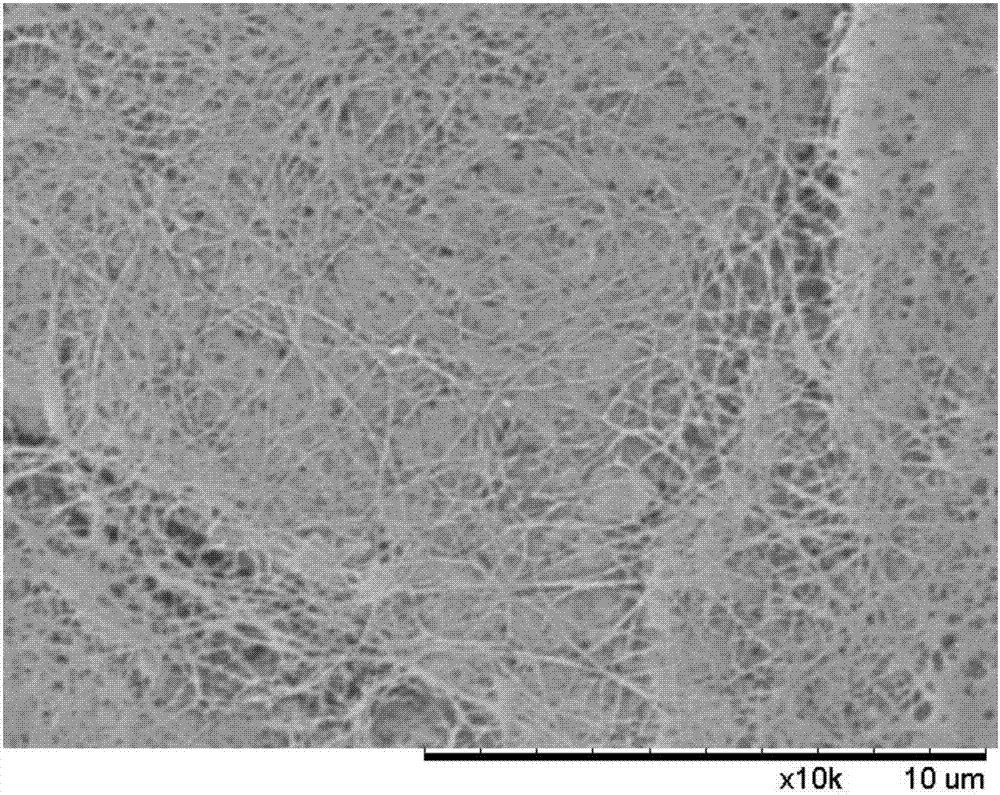 一種改性細(xì)菌纖維素納米晶束及其制備方法與流程