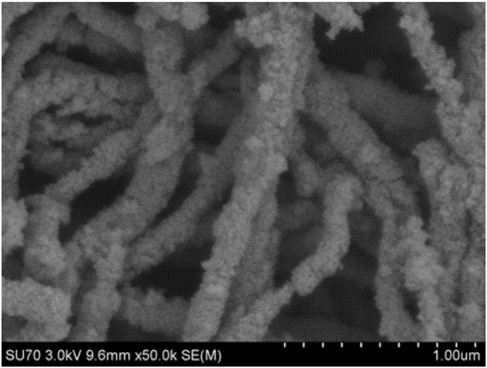 一种核壳结构Ag/TiO2/ZnO纳米线及其制备方法与流程