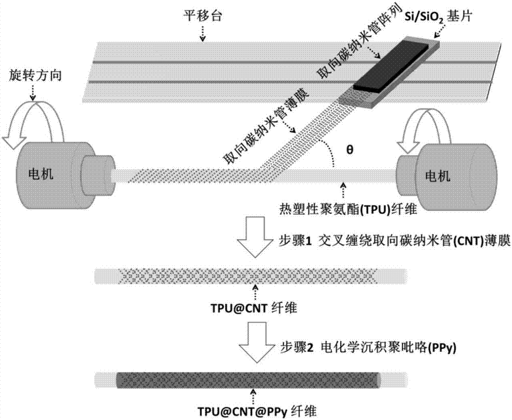 一种具有形状记忆功能的纤维状应变传感器及其制备方法和应用与流程