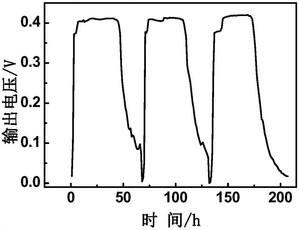 一種嗜吡啶紅球菌及其在微生物燃料電池中的應(yīng)用的制造方法與工藝