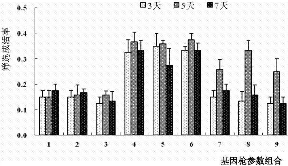 一种利用基因枪法介导遗传转化毛竹的方法与流程