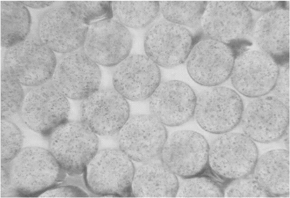 一種原液著色藍(lán)色錦綸6纖維的生產(chǎn)方法與流程