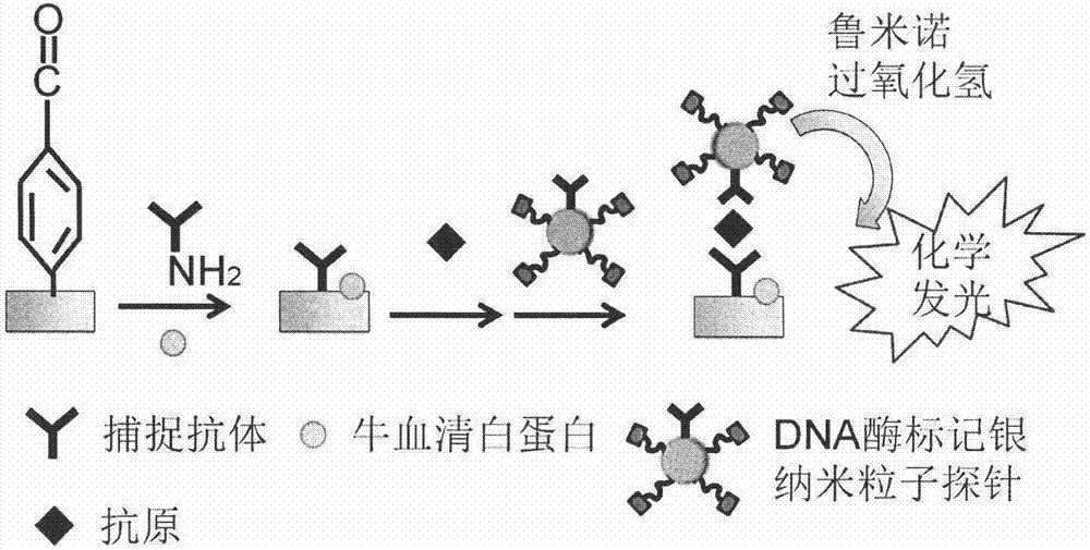 基于模拟酶标记银纳米粒子的高灵敏化学发光免疫分析