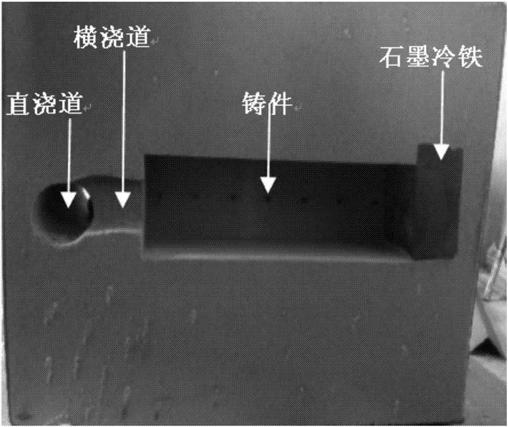 一種孕育合金晶粒組織數值預測方法與流程