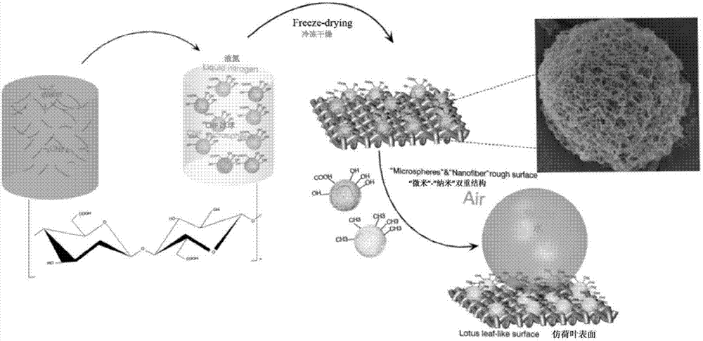 一种纳米纤维素气凝胶微球涂布滤纸的制备方法与流程