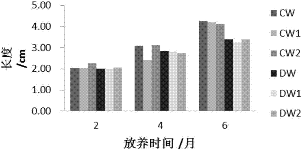 一种高产、抗逆的文蛤良种选育方法与流程