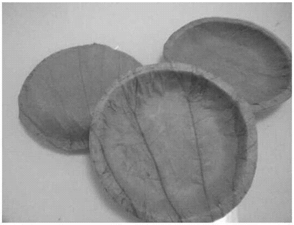 一种环保养生荷叶餐具及其制备方法与流程
