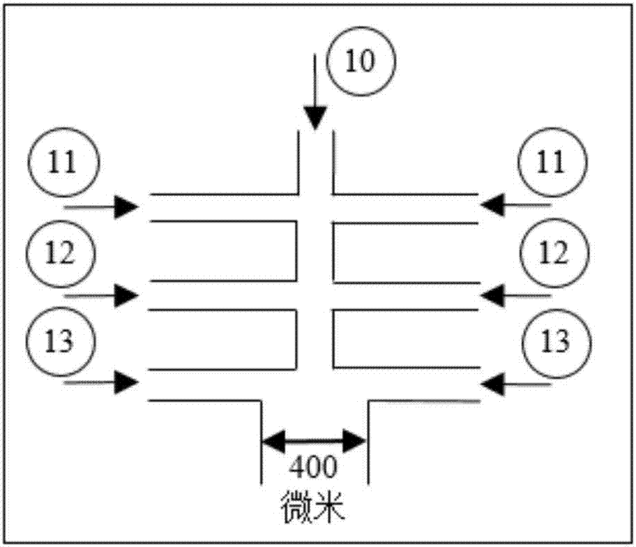 一種沙門氏菌的體內(nèi)磁引導(dǎo)投送方法與流程