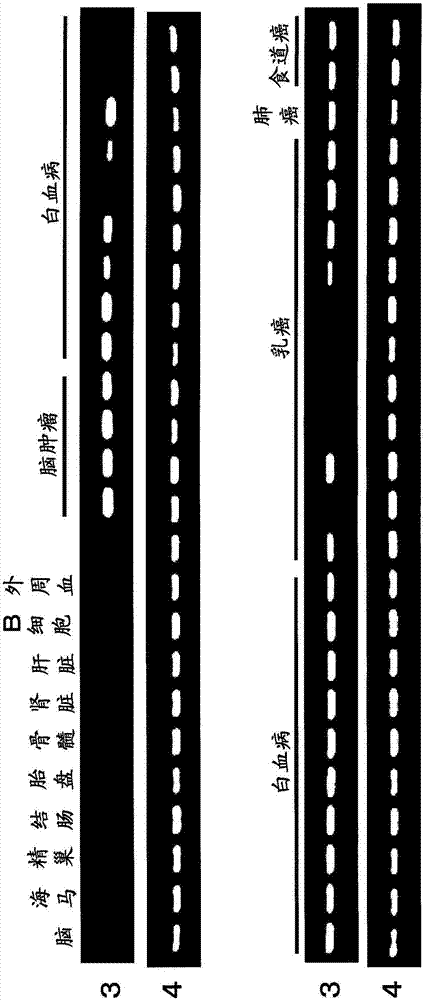 免疫誘導(dǎo)劑的制作方法與工藝