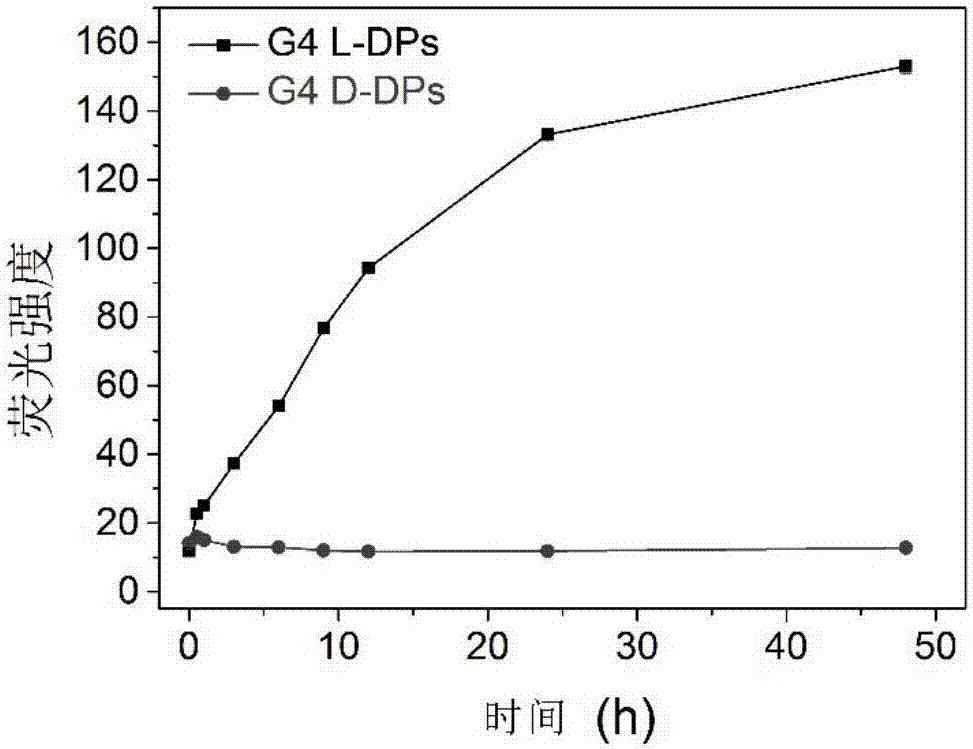 一種手性樹狀肽類大分子作為自噬誘導(dǎo)肽類藥物的應(yīng)用的制作方法與工藝