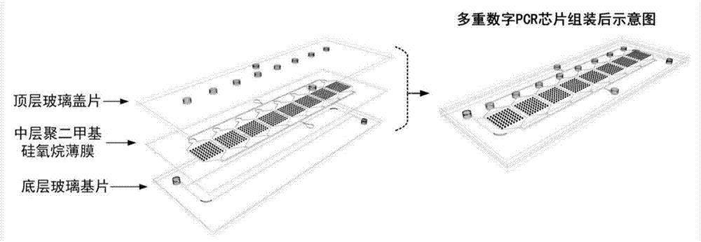 一种多重数字PCR芯片及其使用方法与流程