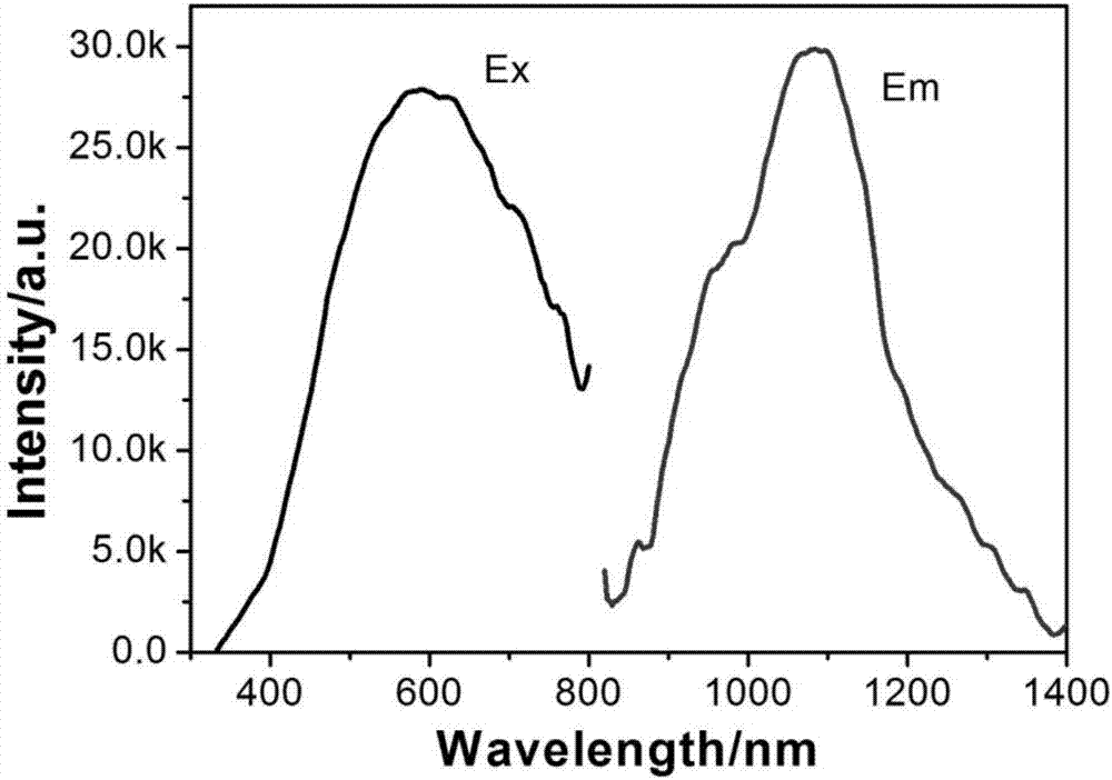 近红外二区荧光功能合金纳米点、制备方法及其在生物荧光成像方面的应用与流程