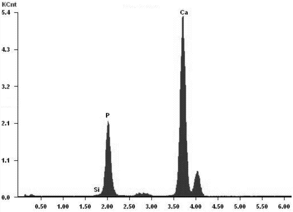 一种模板介导合成含硅羟基磷灰石材料及其制备方法与流程