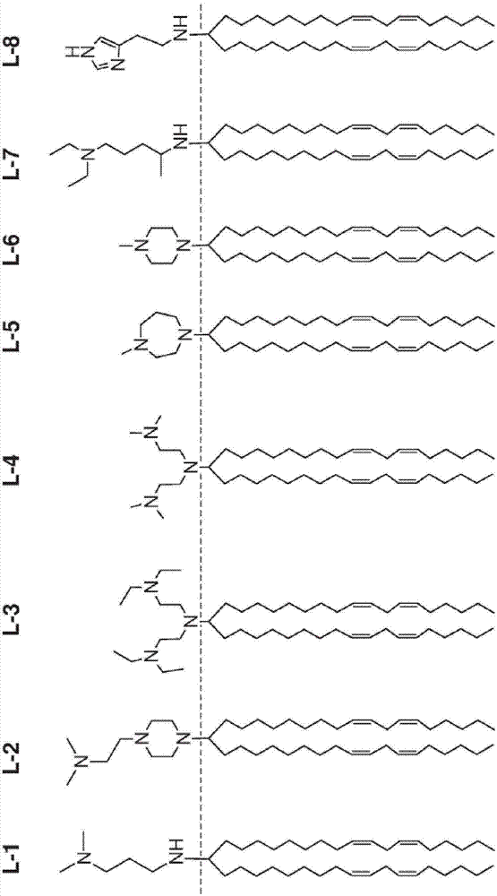 胺陽離子脂質(zhì)及其用途的制作方法與工藝