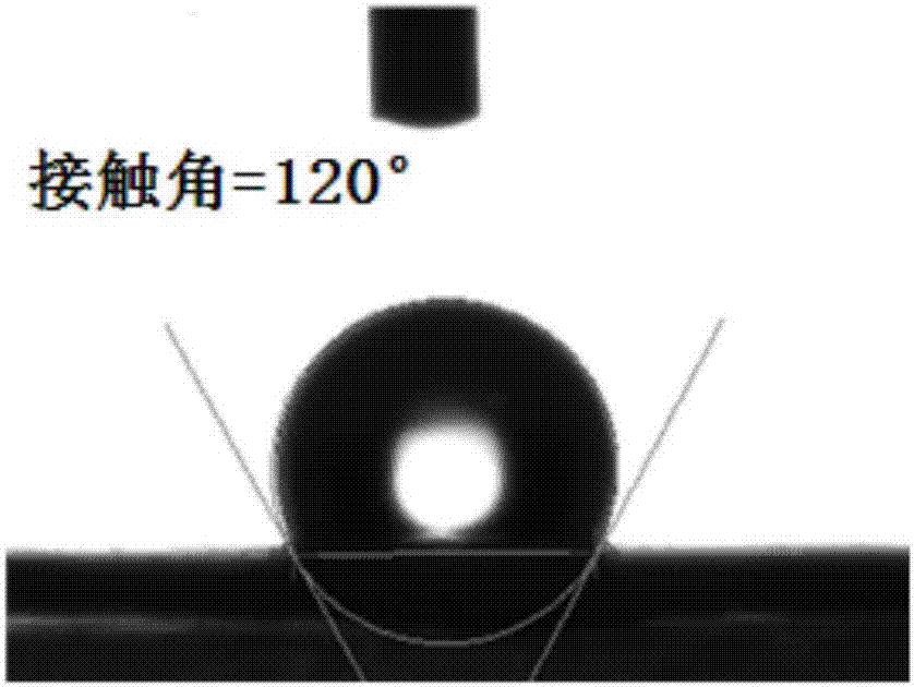 一種疏水天然高分子材料及其制備方法與流程