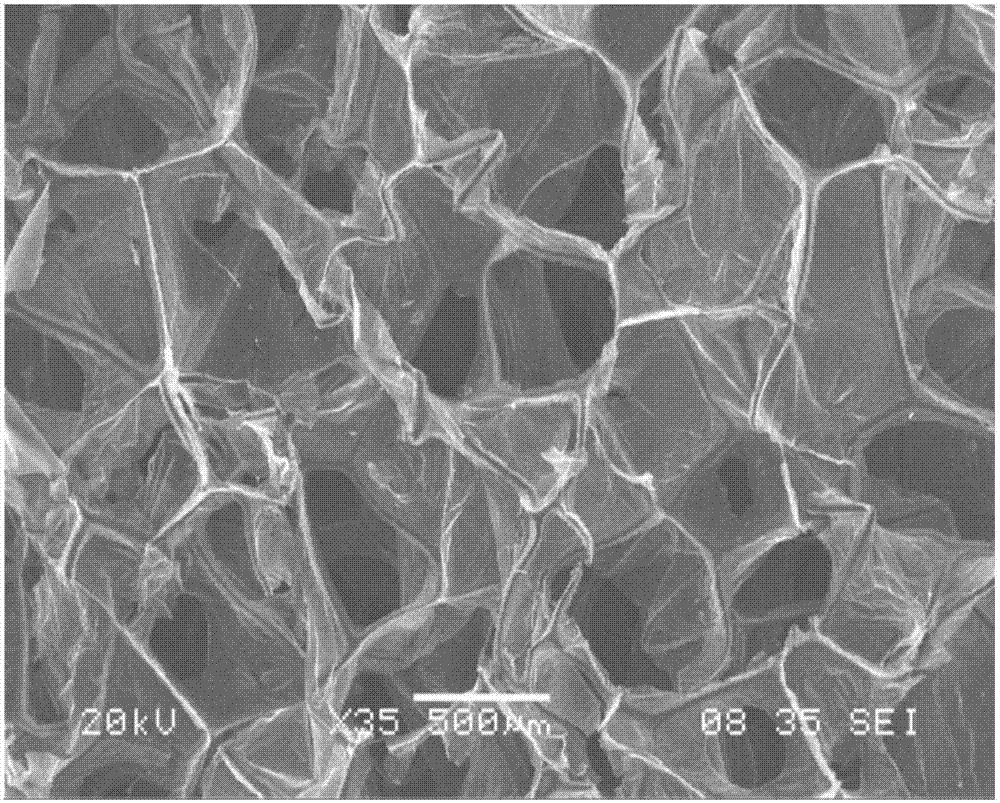 還原氧化石墨烯?聚酰亞胺熱處理泡沫的制備方法與流程