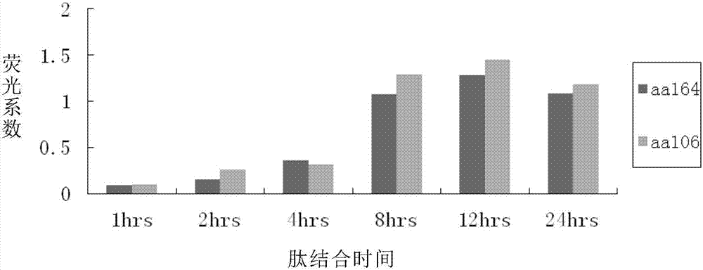 CDK5抗原表位肽及其應用的制作方法與工藝