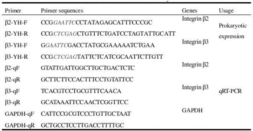 一種家蠶漿細(xì)胞特異性分子標(biāo)記鑒定方法與流程