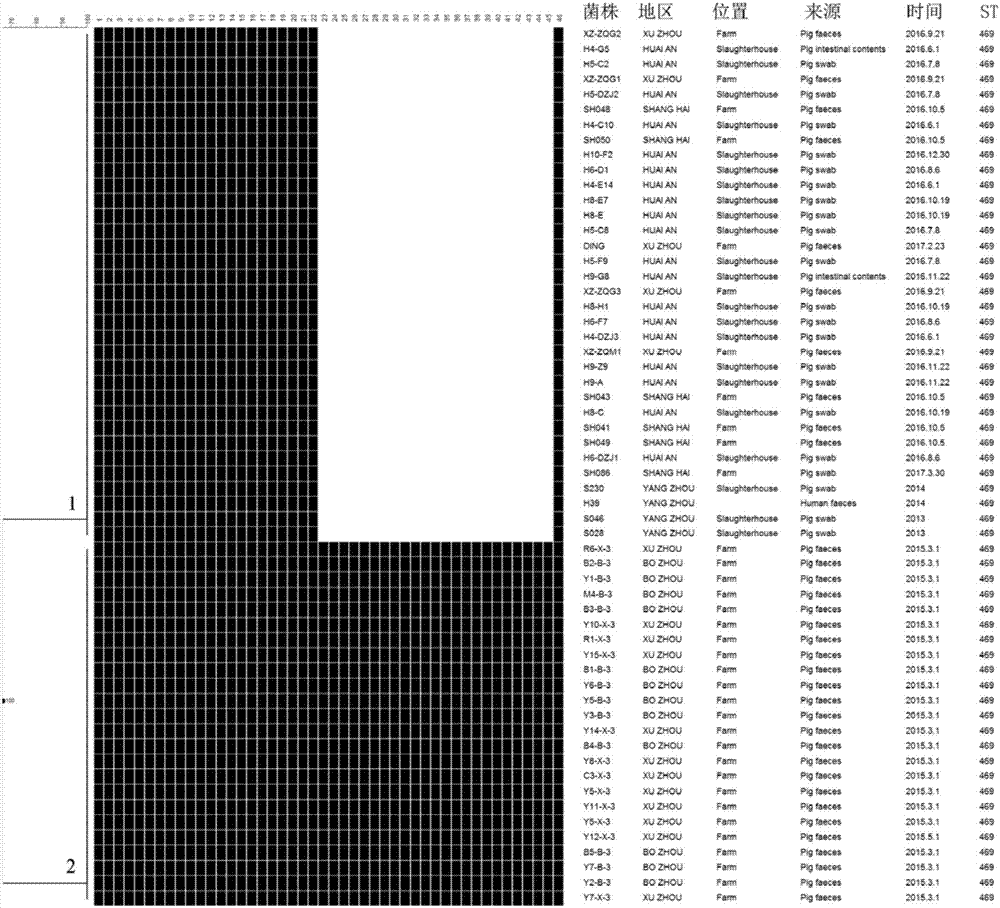 一種用于羅森沙門菌的CRISPRs子分型檢測試劑盒的制作方法與工藝