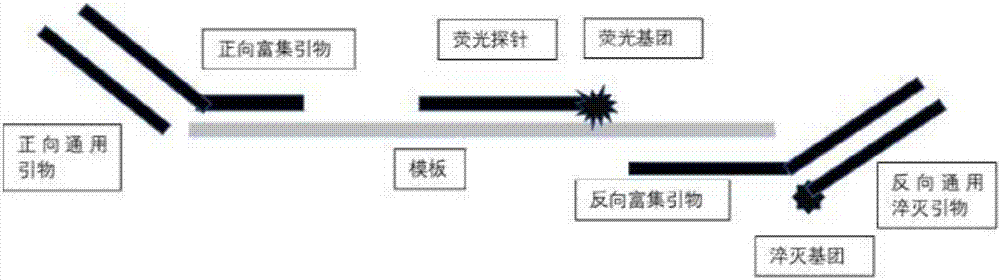 目前常用的荧光pcr检测方法包括taqman探针法,分子信标(molecularbea