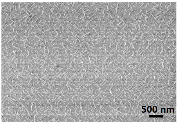 一种碳镍纳米棒薄膜的制备方法与流程