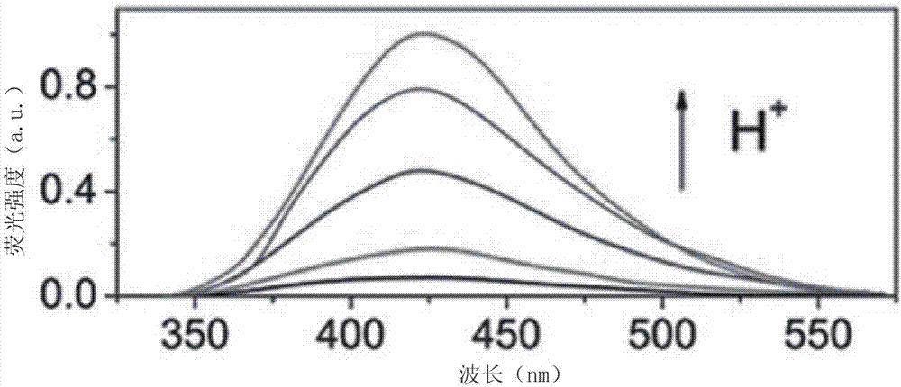 檢測或比較高分子聚合材料力學強度的方法與流程