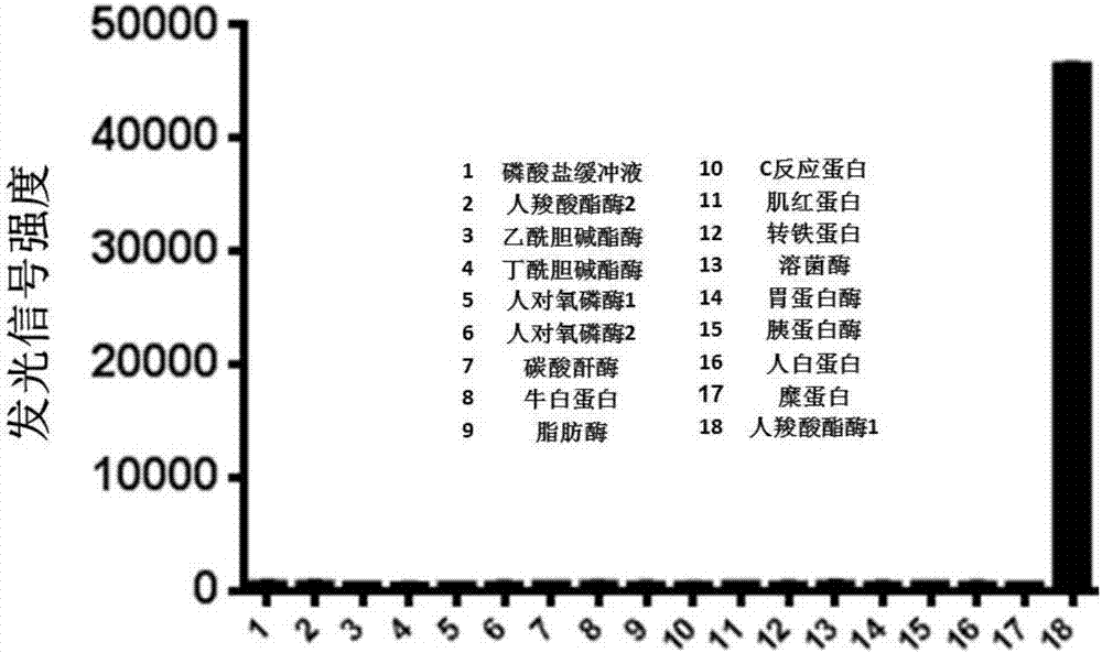 人羧酸酯酶1的生物發(fā)光檢測試劑盒及其使用方法和應(yīng)用與流程