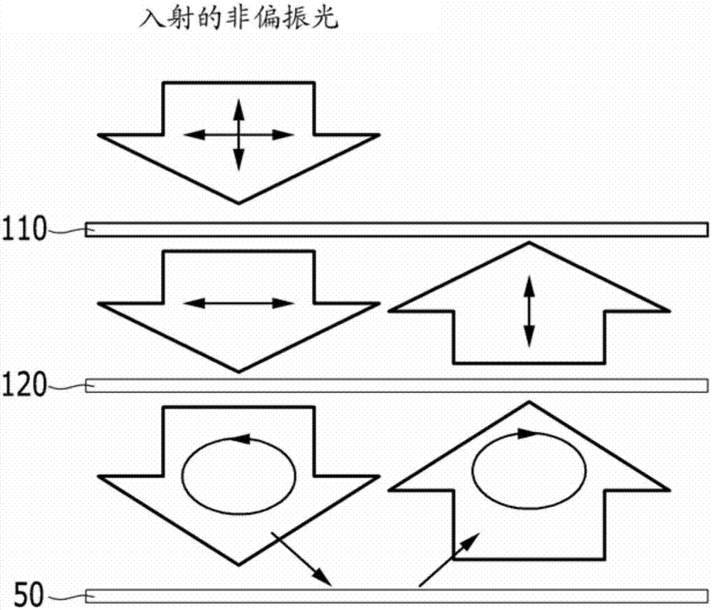 单体、聚合物、补偿膜、光学膜和显示装置的制作方法