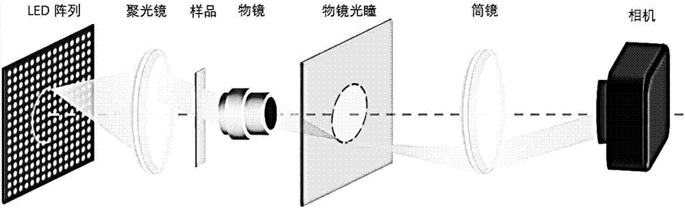 基于半環(huán)狀LED照明的差分相襯顯微成像方法與流程