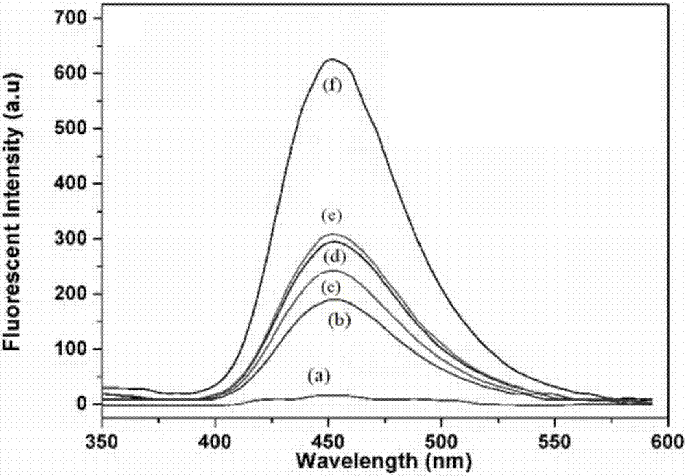 熒光檢測(cè)物質(zhì)及其制備方法與流程