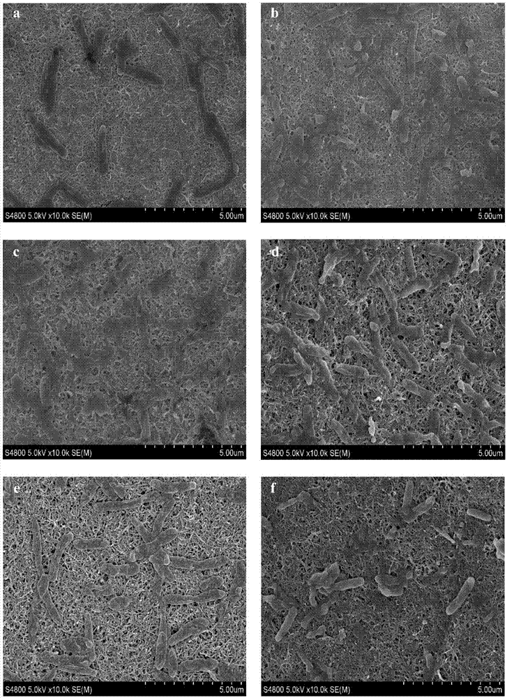 一種基于(CNTs/PANI)n?ITO陽(yáng)極的MFC生物傳感器用于藥敏試驗(yàn)的方法與流程