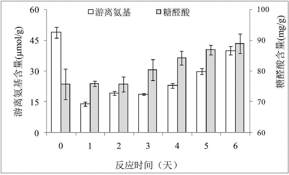 功能活性增强的龙眼果肉多糖及其基于内源蛋白质结合的绿色改性制备方法与流程