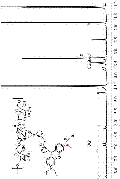 一種羅丹明?間羥基苯硼酸?葡聚糖高分子聚合物及其制備和應用的制作方法與工藝